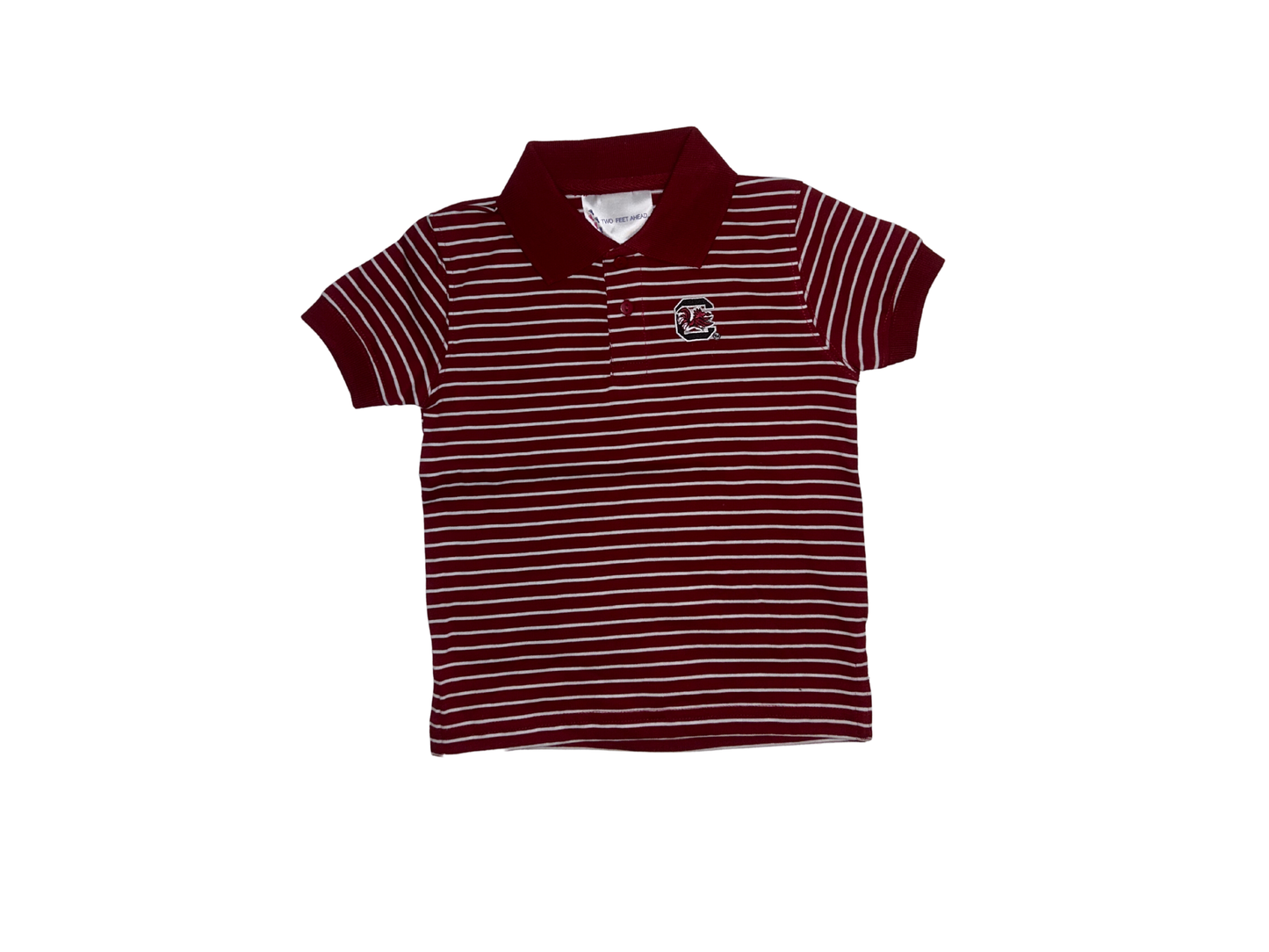 Carolina Striped polo